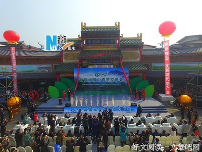 那山边，又是一年春茶香