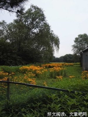 胡思乱想也是优点