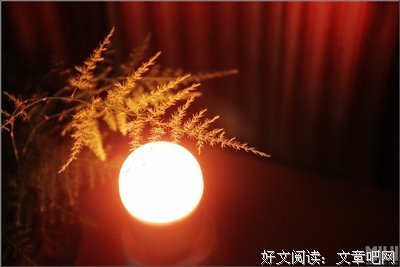 时代急着浪漫，我想浪得慢一点