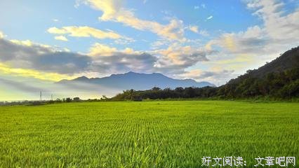 稻香