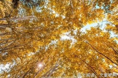 左岸时光，右岸风景