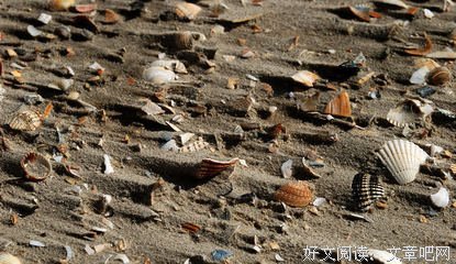 你看见了什么？