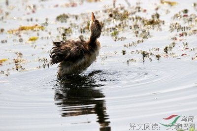 仰望蓝天