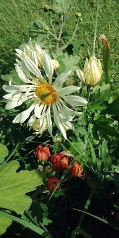 唤醒芬芳