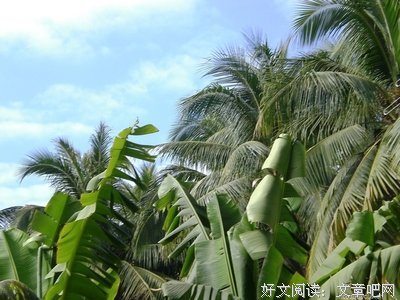 漏网之鱼