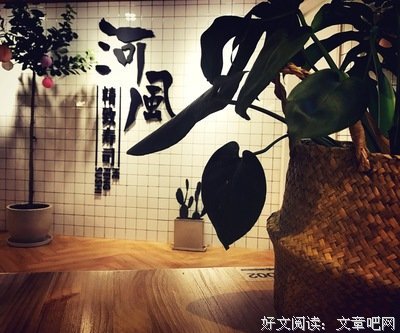  夏天傍晚的风可以救人