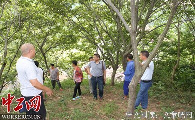 送板栗