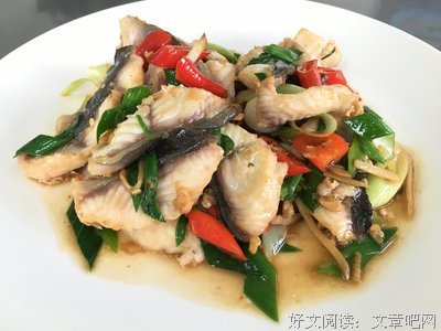  鲈鳗的悲剧