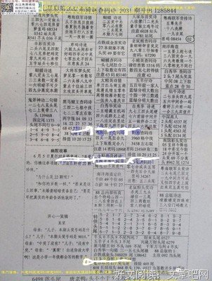  精英好比大公鸡