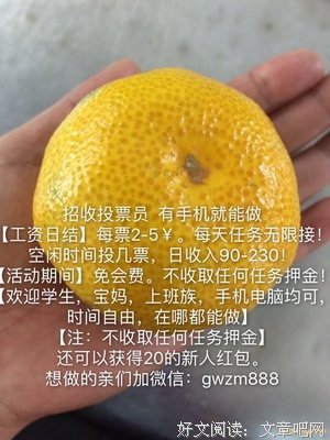 没遇见喜欢的人，就先做喜欢的事