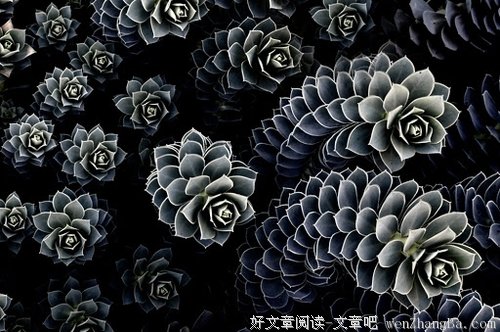 我已是一个中年的人