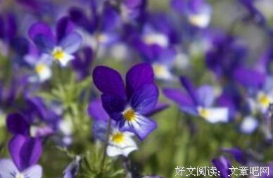 爱是最好的良药