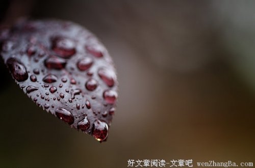 与爱情有染的岁月