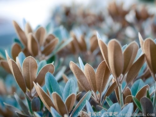 选择科技圆梦农信