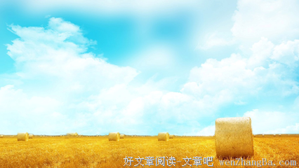农村互联网金融研究（中）