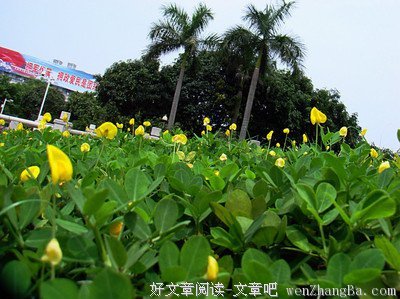  窥脑