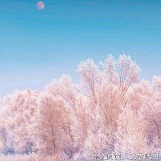 杜海棠错过了就已不再