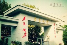  马蜂群攻下的抉择