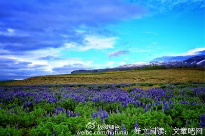 我在冰岛当公务员