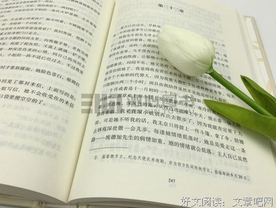 艾米莉·勃朗特：梦魇