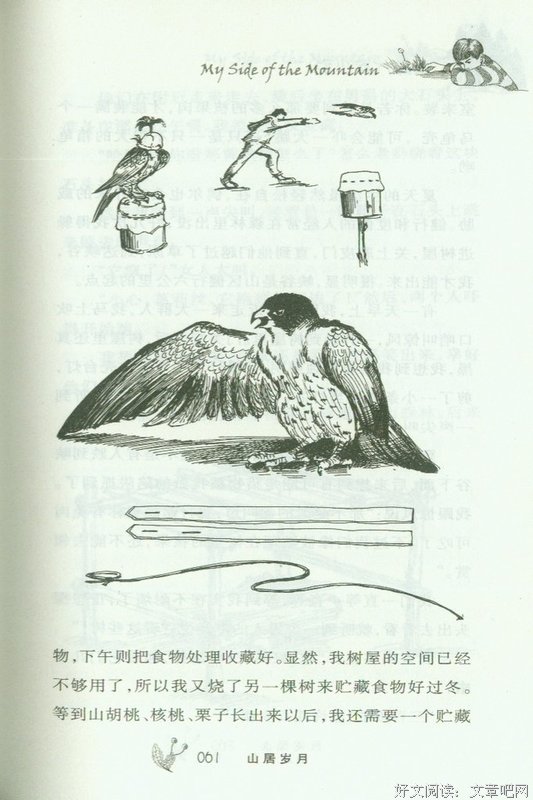  山居岁月滋味长
