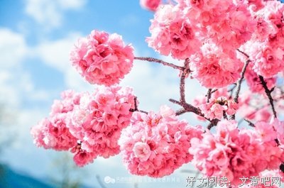 不负自己，就是最美的当下