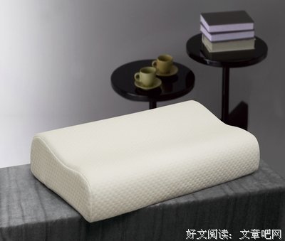 枕着翅膀睡觉的“无脚鸟”