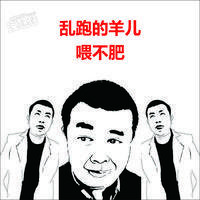 乱跑的羊儿喂不肥
