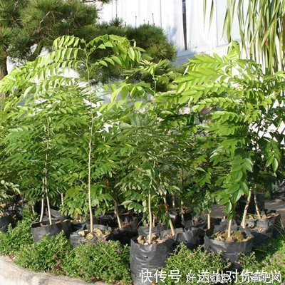 闲置比忙碌更危险