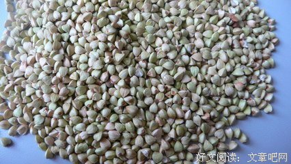 荞麦