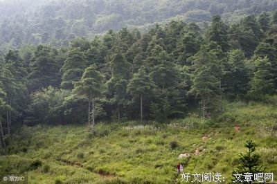 敬业能救命