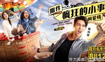 那件疯狂的小事儿叫爱情