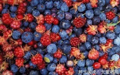 野果记之“癞”系列