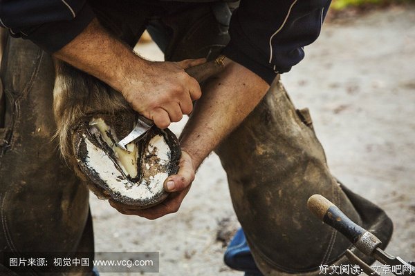 马蹄铁