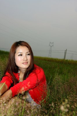 求死的蚂蚁