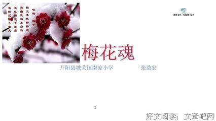 剩水残山无态度