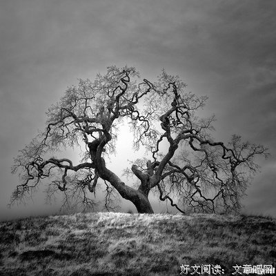 世界不只黑白两色