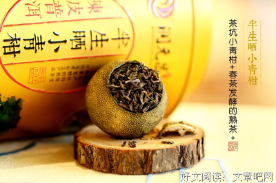 休负韶光几十年