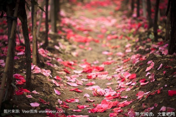 渔舟绕落花