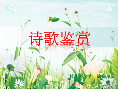 杜甫的绯鱼袋