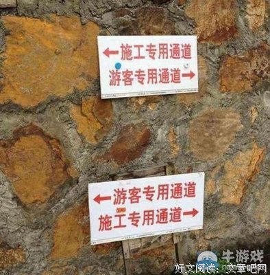  来富偷蛋