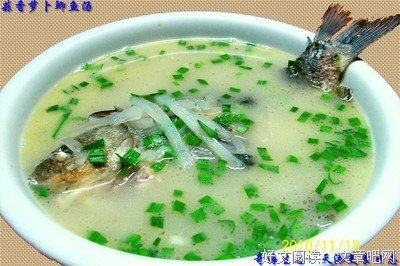  鲫鱼汤