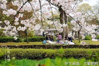  樱花告诉我的事情