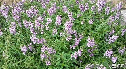  想要被世界温柔对待，请先温柔对待这个世界