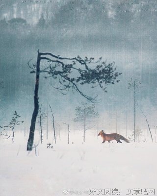 光，打在你身后