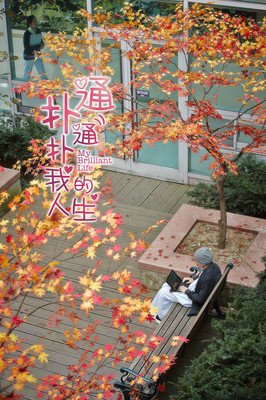  扑通扑通