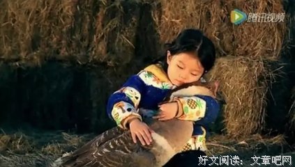  会流泪的鹅