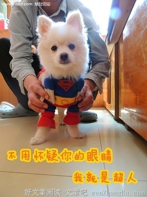 家有老是一宝