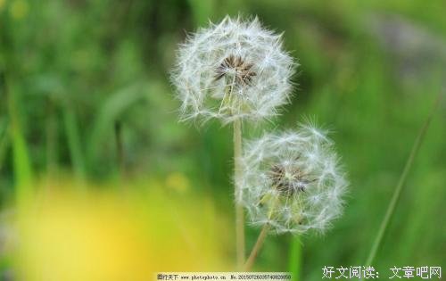 情绪来时我也不得已