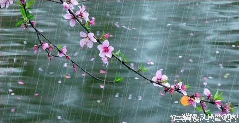 春雨遐思